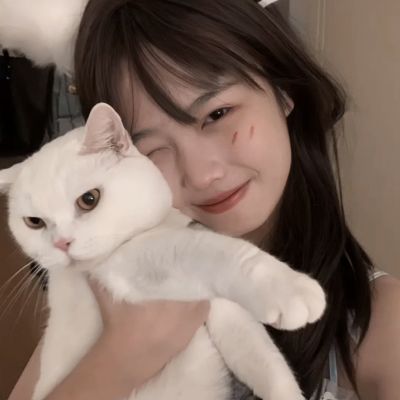 2023澳门管家婆资料正版大全手机app下载