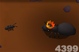 开元棋脾官方网站·官方网站