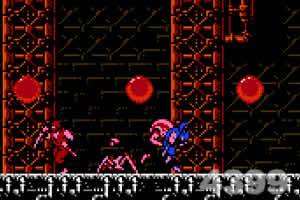 星空官方网站入口