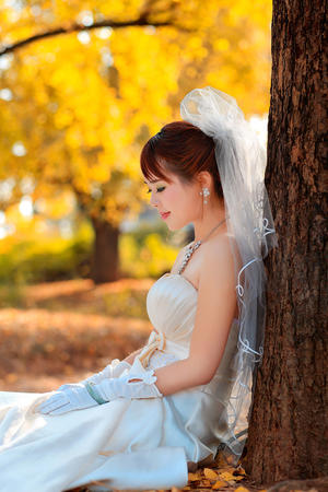 9博体育app下载官网