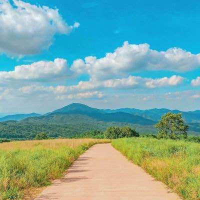 188BET官网中国官方网站