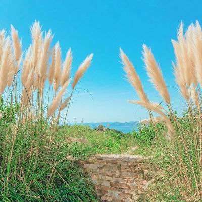 m6米乐网页版登录入口