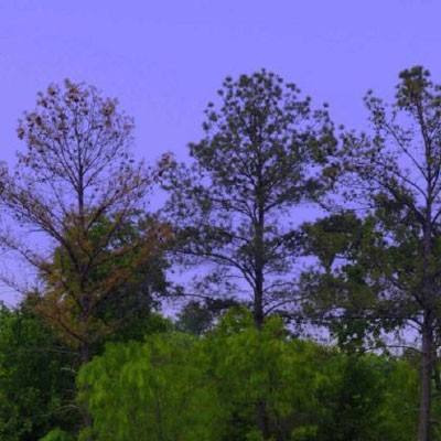 乐鱼app(中国体育)官方网站app下载