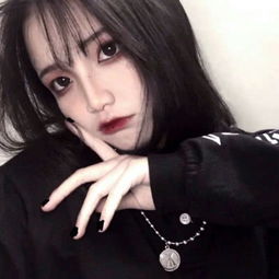 半岛官方入口app