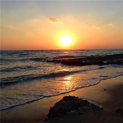 波胆app官网手机app下载截图