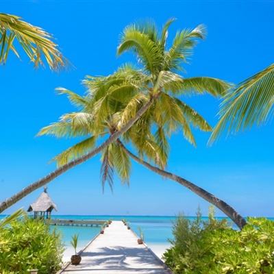 开元ky888vip下载手机版