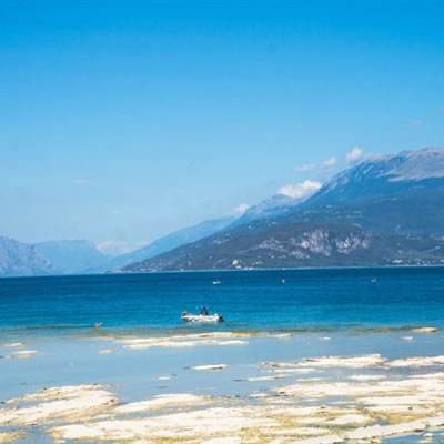 港澳宝典下载手机版截图