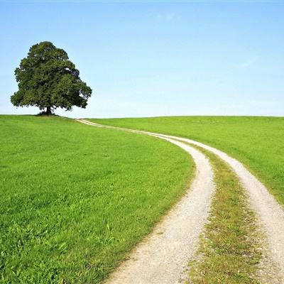 kok全站app官网登录入口