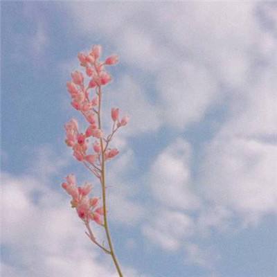 买球的app排行榜前十名推荐下载手机版