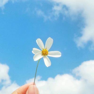 北京pk赛车app官网下载安装