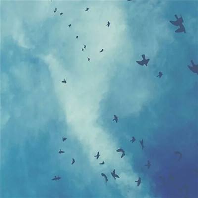 开元ky888棋牌2.3.7版