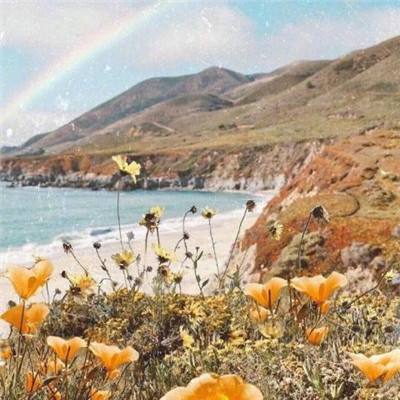 云开平台app最新版下载手机版