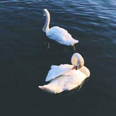 乐鱼娱乐app官网下载