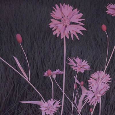 华体会登录(官方)APP下载app下载