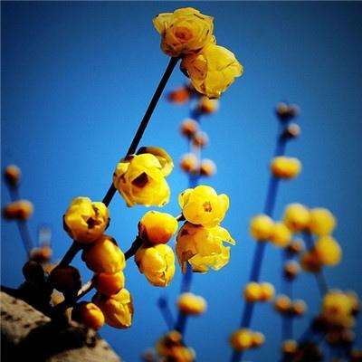 开元集团游戏网站