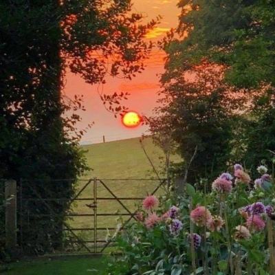 半岛体体育下载