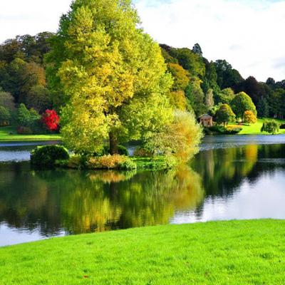 百姓彩票app下载