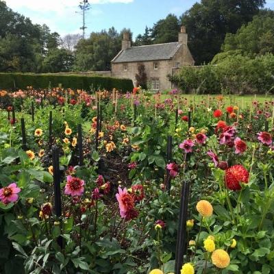 澳门·威斯尼斯wns888入口