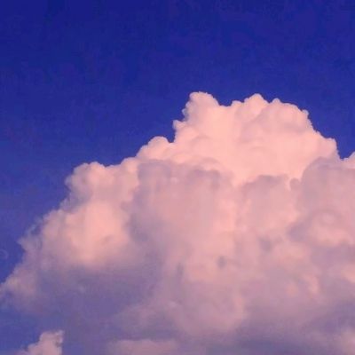 星空体育APP下载手机版