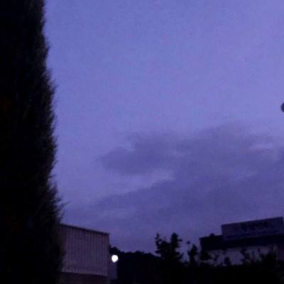 bob体肓官方网站