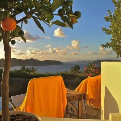 云开平台APP官方全站APP入口手机app下载