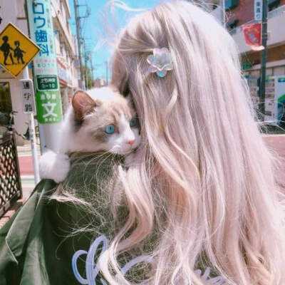 乐虎国际app下载截图