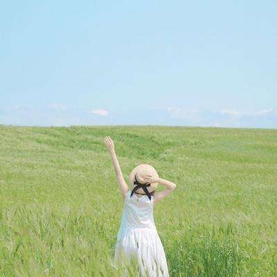 2023年香港资料精准手机app下载