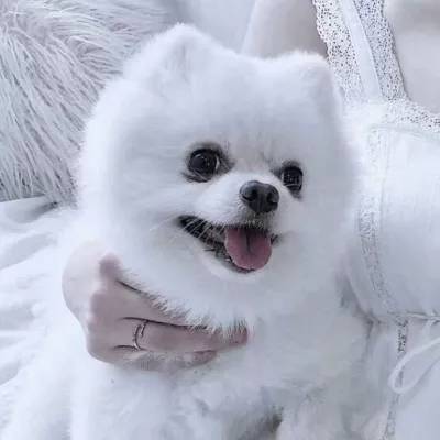 ku娱乐官网登录