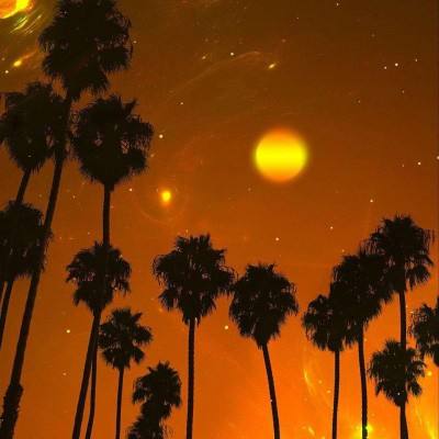 今期澳门三肖三码开一码下载手机版