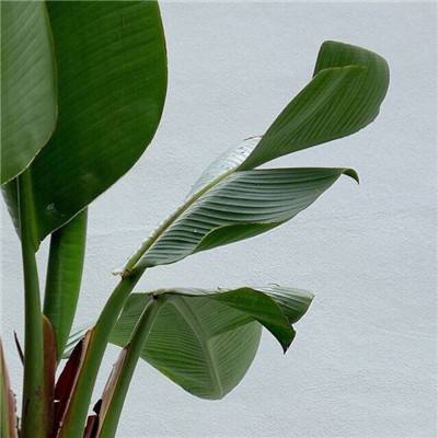 pg娱乐电子游戏官网官方入口