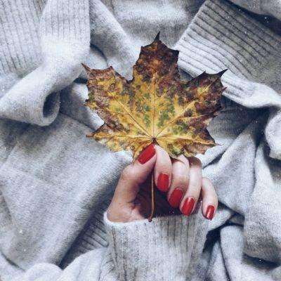 半岛·综合下载手机版