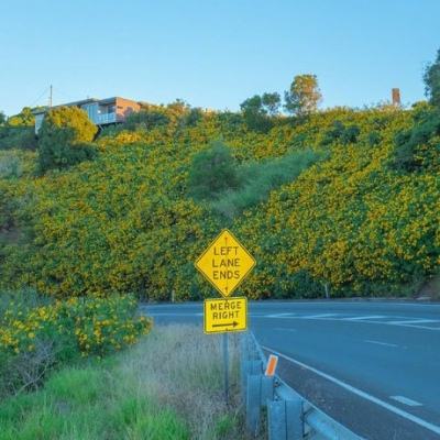 B体育登录APP下载截图