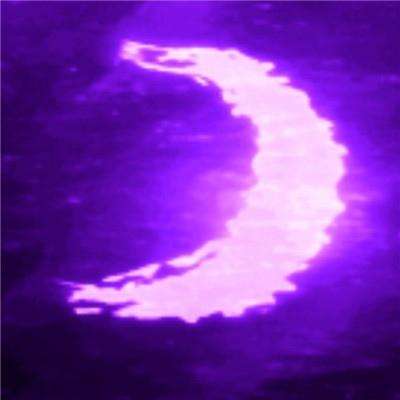 新世纪棋牌截图