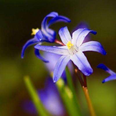 365平台官方版下载下载手机版