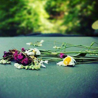 万博max手机登录版