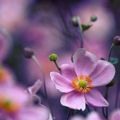 狗万官网下载手机版