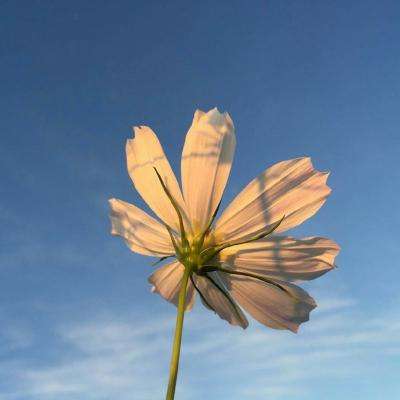 江南体育登录入口截图