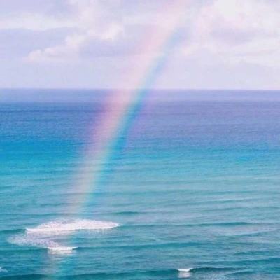 ayx体育在线登录截图