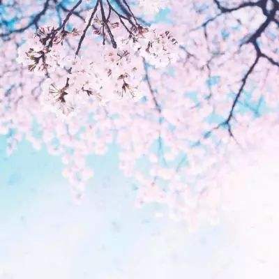 云开平台登录app