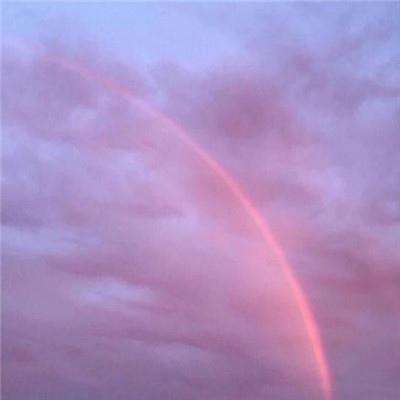 皇家88app下载截图