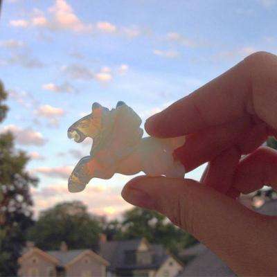 半岛官方APP入口手机app下载