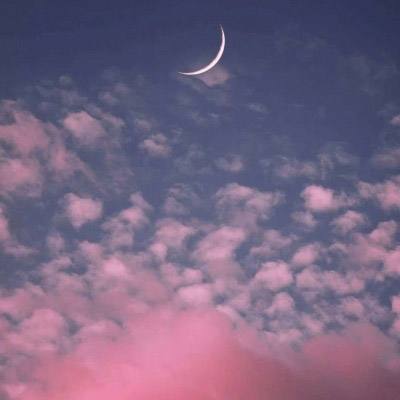 今天买什么特马手机app下载