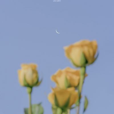 半岛bob综合登入app下载