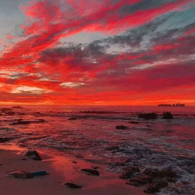 金年会体育登录入口截图