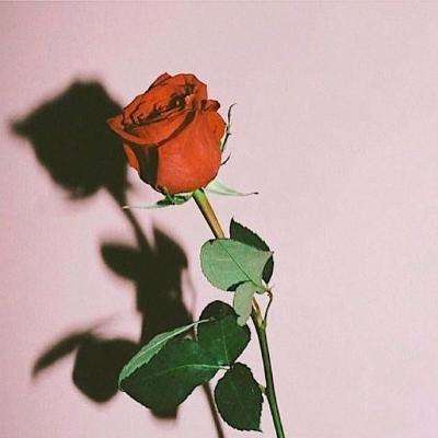 大发彩票正规平台