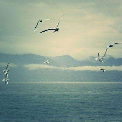 b体育官方官网入口