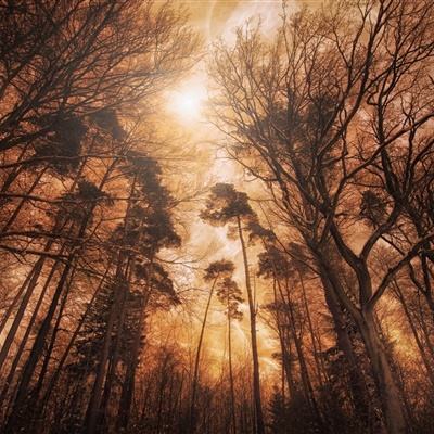 ayx体育在线登录截图