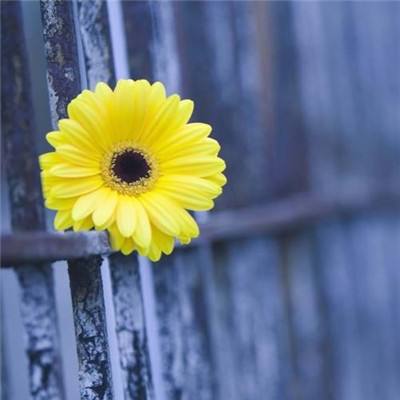 欧意app官网下载