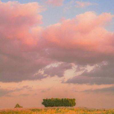 leyu·乐鱼体育手机app下载