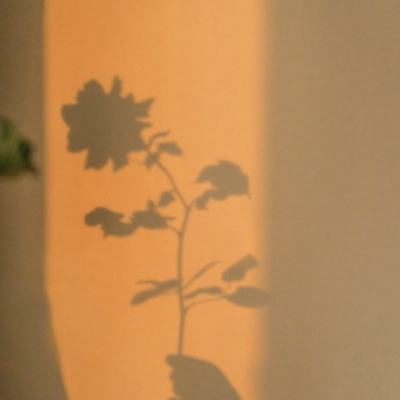 乐发彩票APP下载